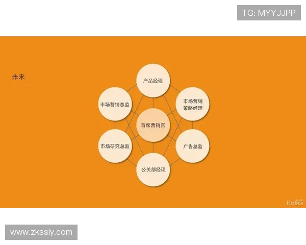 杭州足球队的转型之路：从传统到现代的深度解析与未来展望